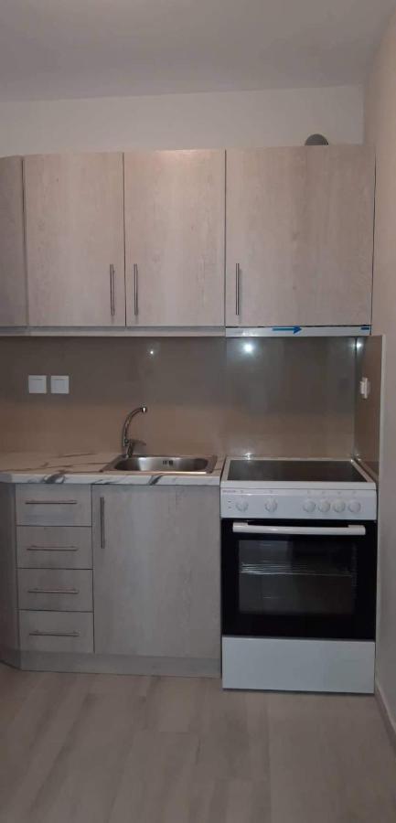 Nikiana Family Apartment Bagian luar foto